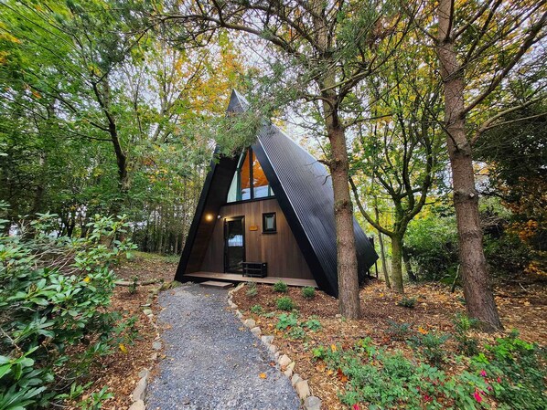 A modern, triangular wooden cabin nestled in a forest.