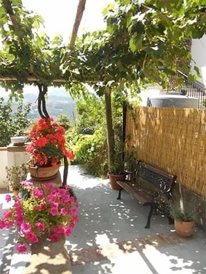 Terras