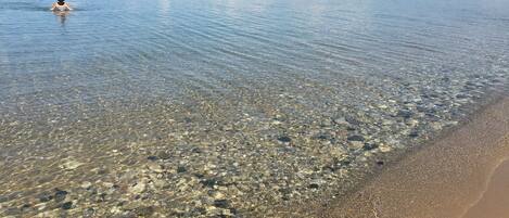 Playa en los alrededores