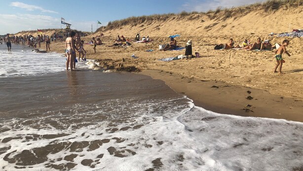 A sandy beach with people, waves, and dunes.