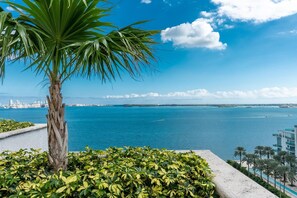 Property grounds - Luxury World Cup Base near FIFA Fan Fest (Miami)