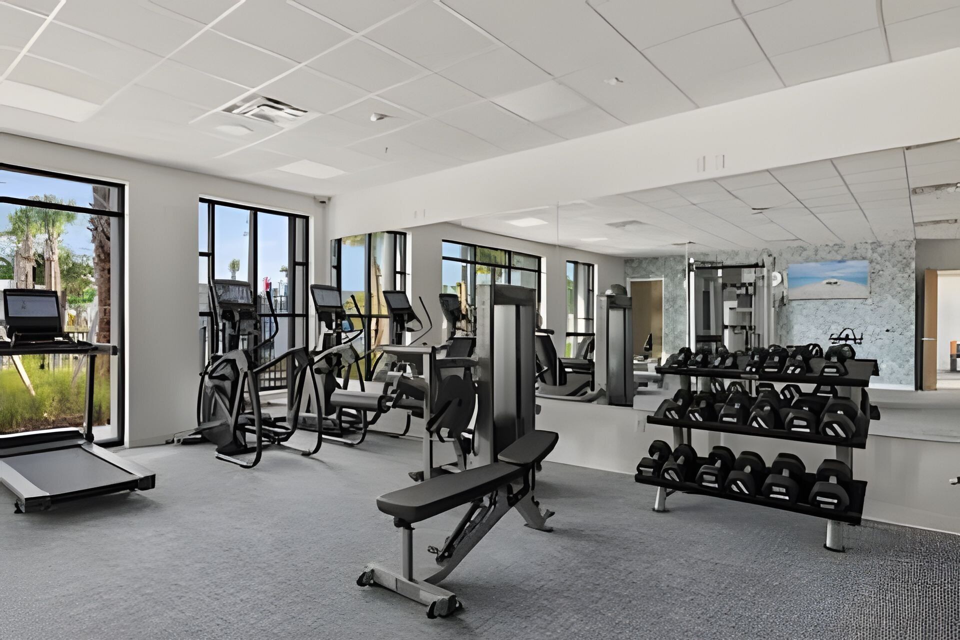 Ein Fitnessstudio mit Cardiogeräten, Langhantelbänken und Kurzhanteln.