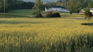 Un bâtiment blanc surmonté d’un toit vert, entouré d’un champ verdoyant et luxuriant ainsi que d’arbres, avec des montagnes en arrière-plan.