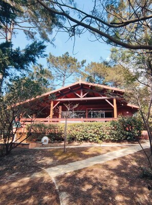 Exterior - Family home in the forest between lake and ocean (Carcans)