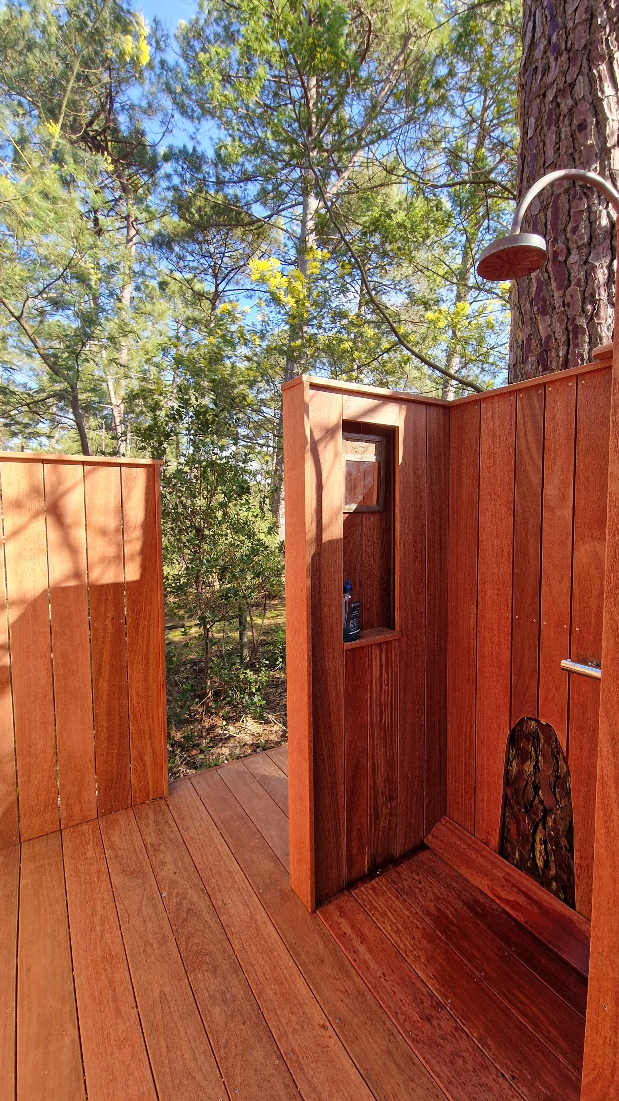 المنطقة المحيطة بالمنشأة