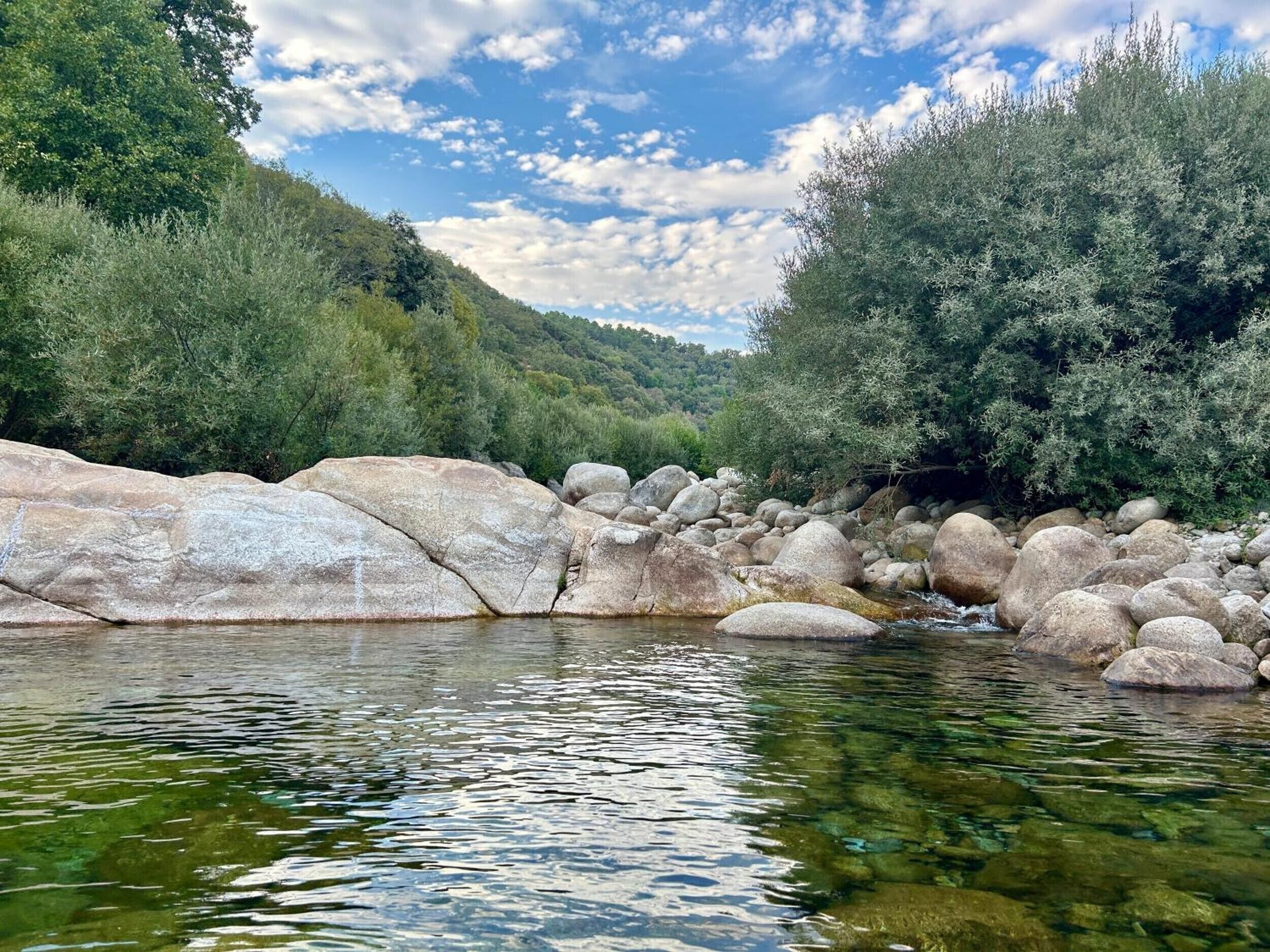 Un río con rocas grandes y abundante vegetación.