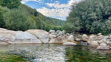 Un río con rocas grandes y abundante vegetación.