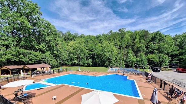 Ein Pool mit Liegestühlen und Sonnenschirmen, umgeben von Bäumen.