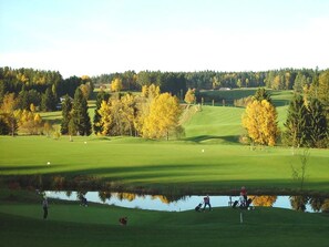 Golf