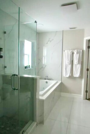 Hair dryer - Family Oasis with Pool and Spa (Tampa)