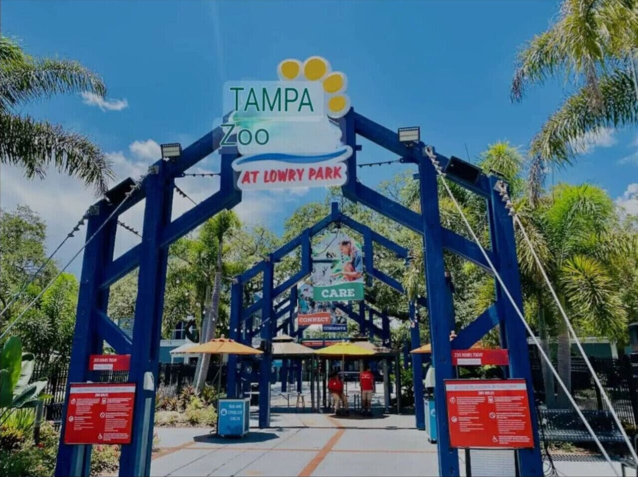 The entrance to Tampa Zoo at Lowry Park, featuring a large archway with a sign, palm trees, and a clear blue sky.