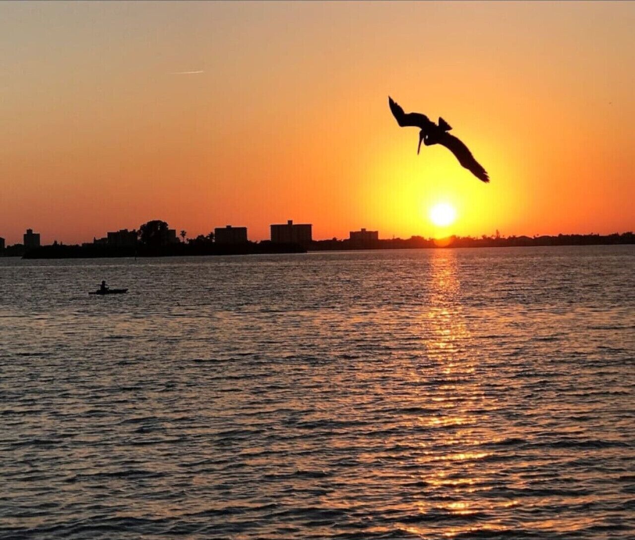 Een zonsondergang boven een wateroppervlak, met in de verte de silhouetten van een vliegende vogel en iemand in een boot.