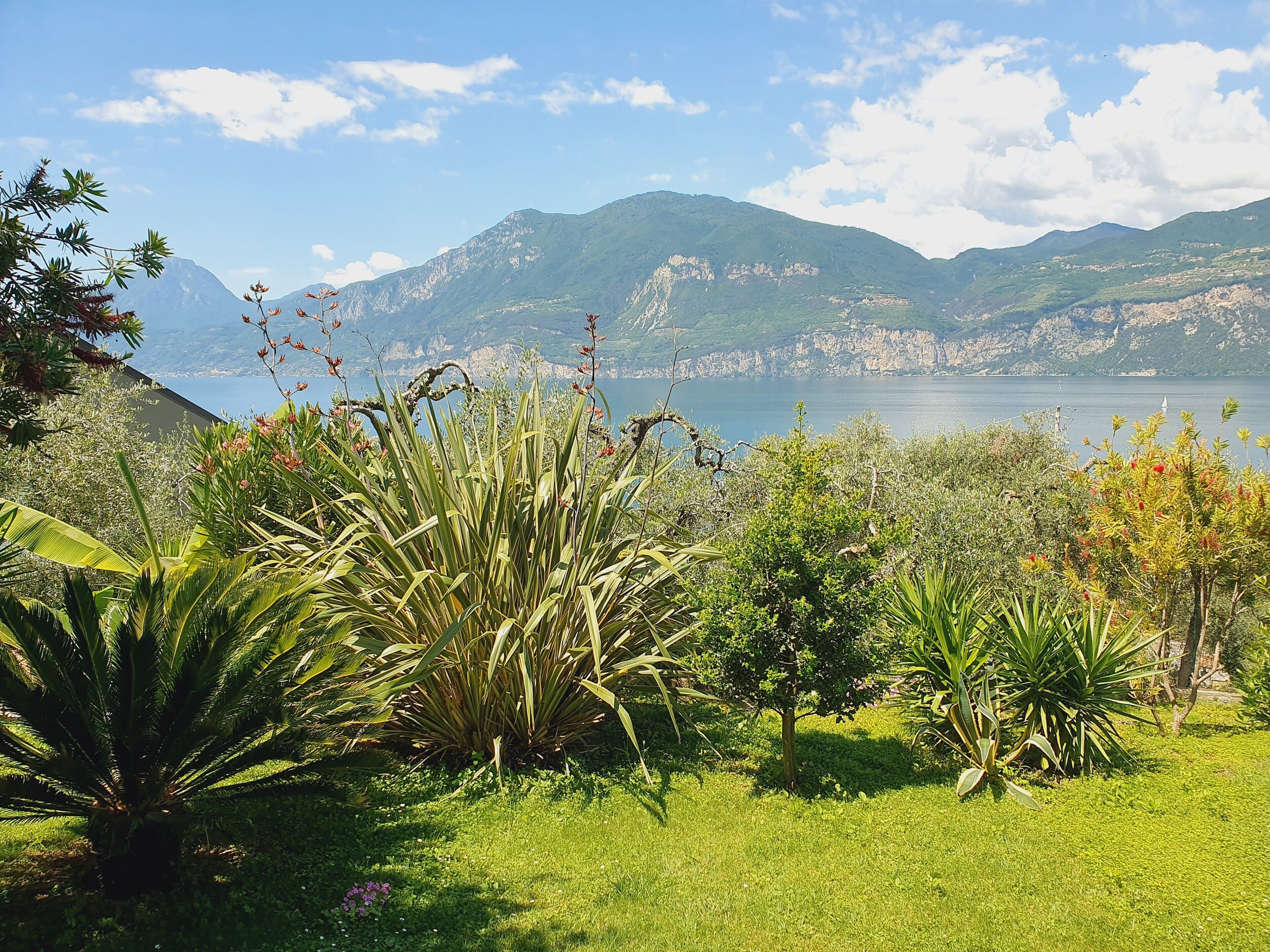 Ein üppiger Garten mit verschiedenen Pflanzen und Blick auf einen See sowie Berge im Hintergrund.