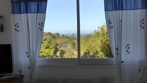 Ein Zimmer mit Fenster, weiße Vorhänge mit Blätermotiv, einem Flachbildfernseher auf einem Holzständer und einem Heizkörper unter dem Fenster.