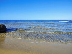Playa en los alrededores 