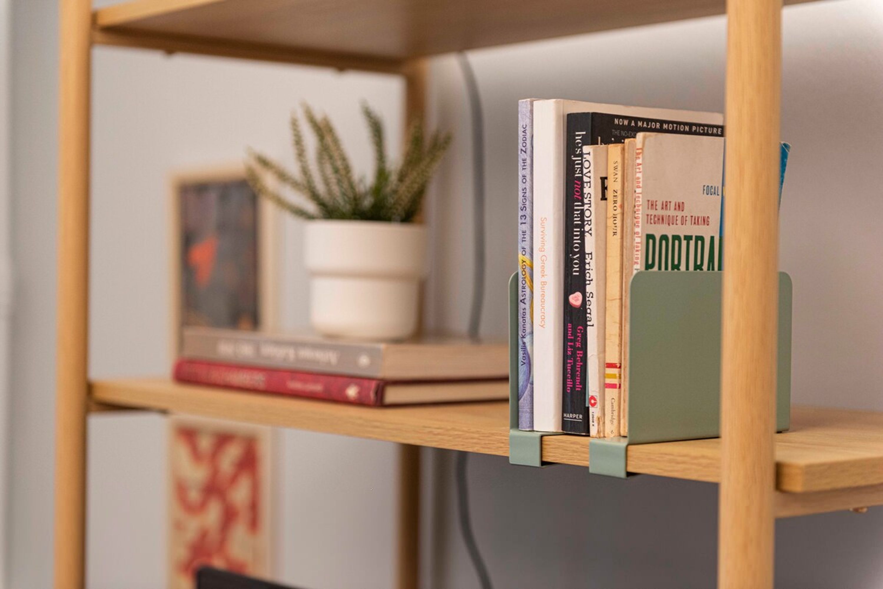 A bookshelf with books and a potted plant.