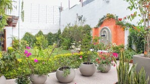 Un patio con plantas en macetas y un pequeño arco.