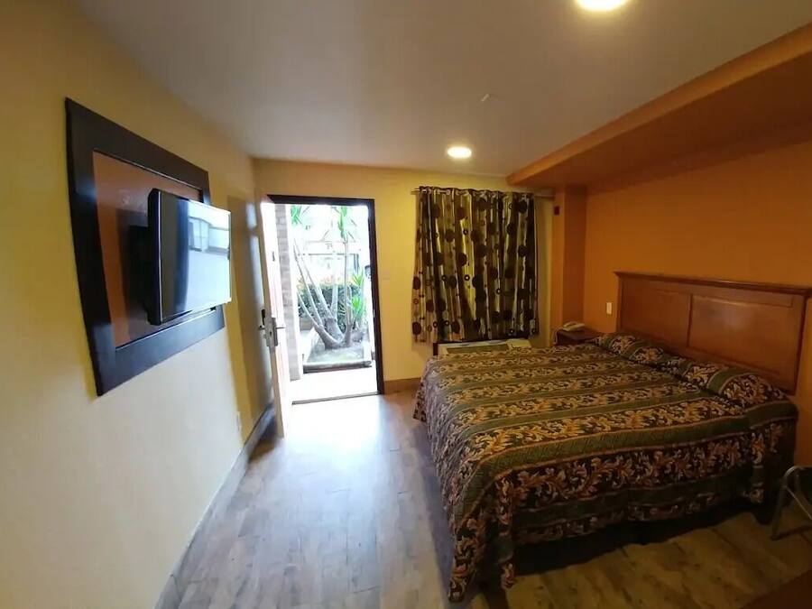 Room, 1 King Bed, Smoking