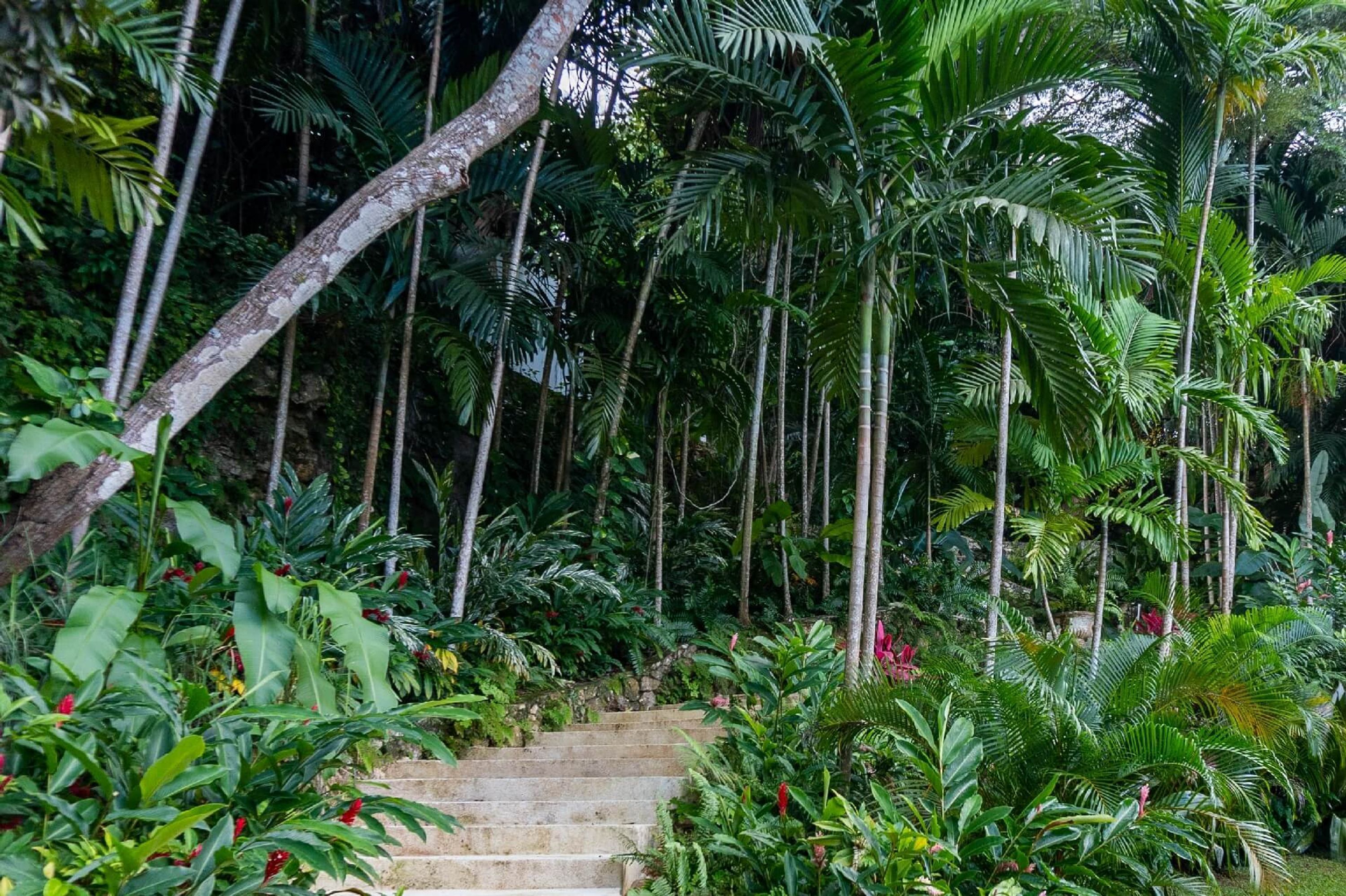 3 عدّة غرف نوم وخدمة الإنترنت