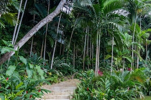 A staircase surrounded by lush tropical vegetation. - Secluded 3BR Garden Villa Pool Ocean Views (Sandy Bay)