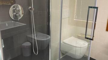A glass-enclosed shower area with a toilet and a sink.