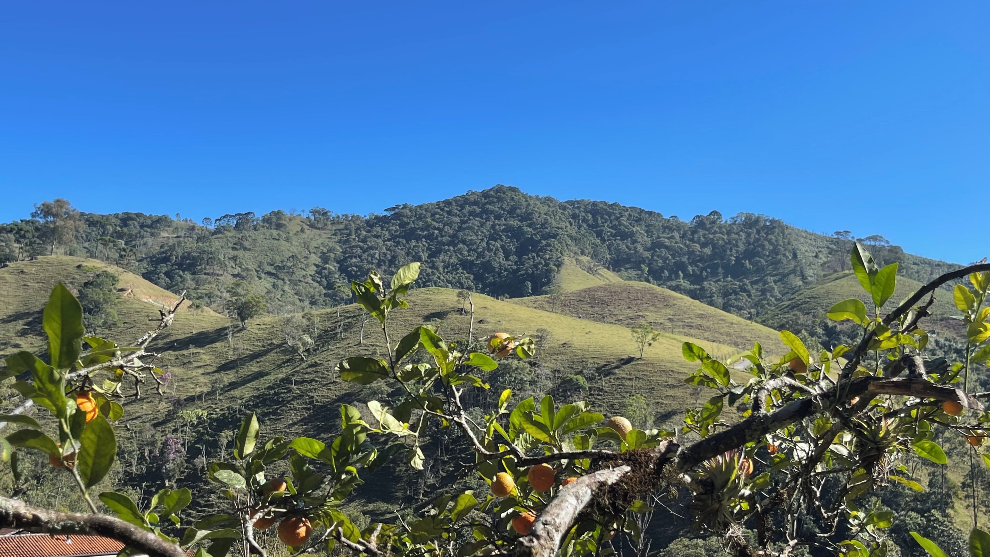 Pemandangan darat dari hartanah