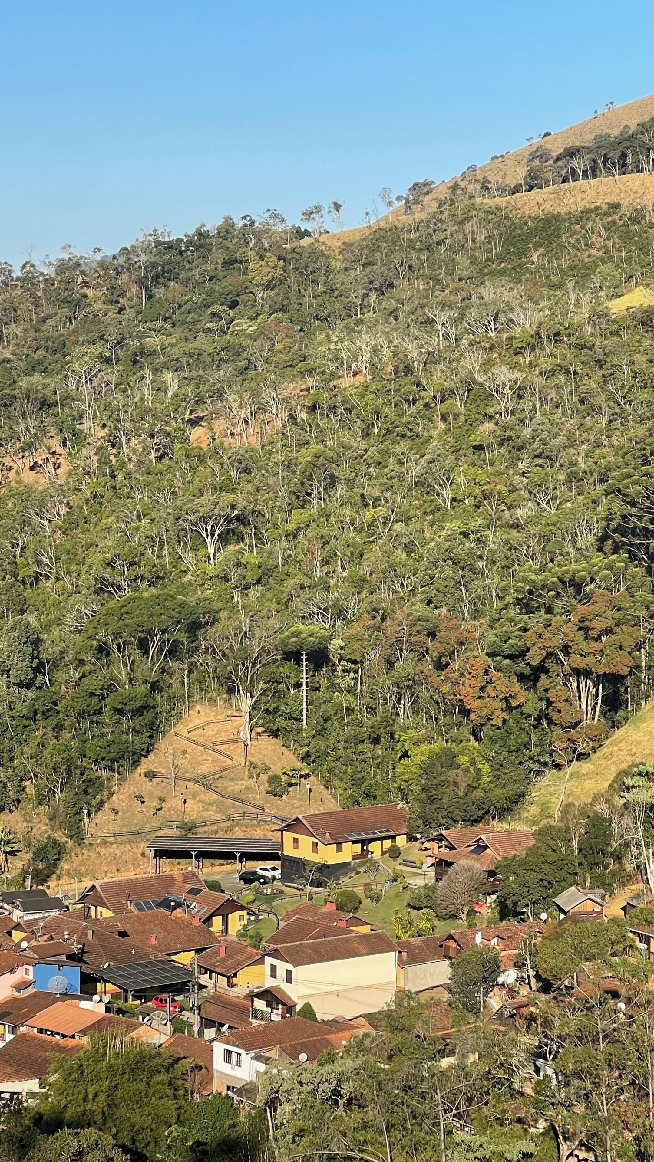 A hillside residential area with houses, some with solar panels, surrounded by dense vegetation.