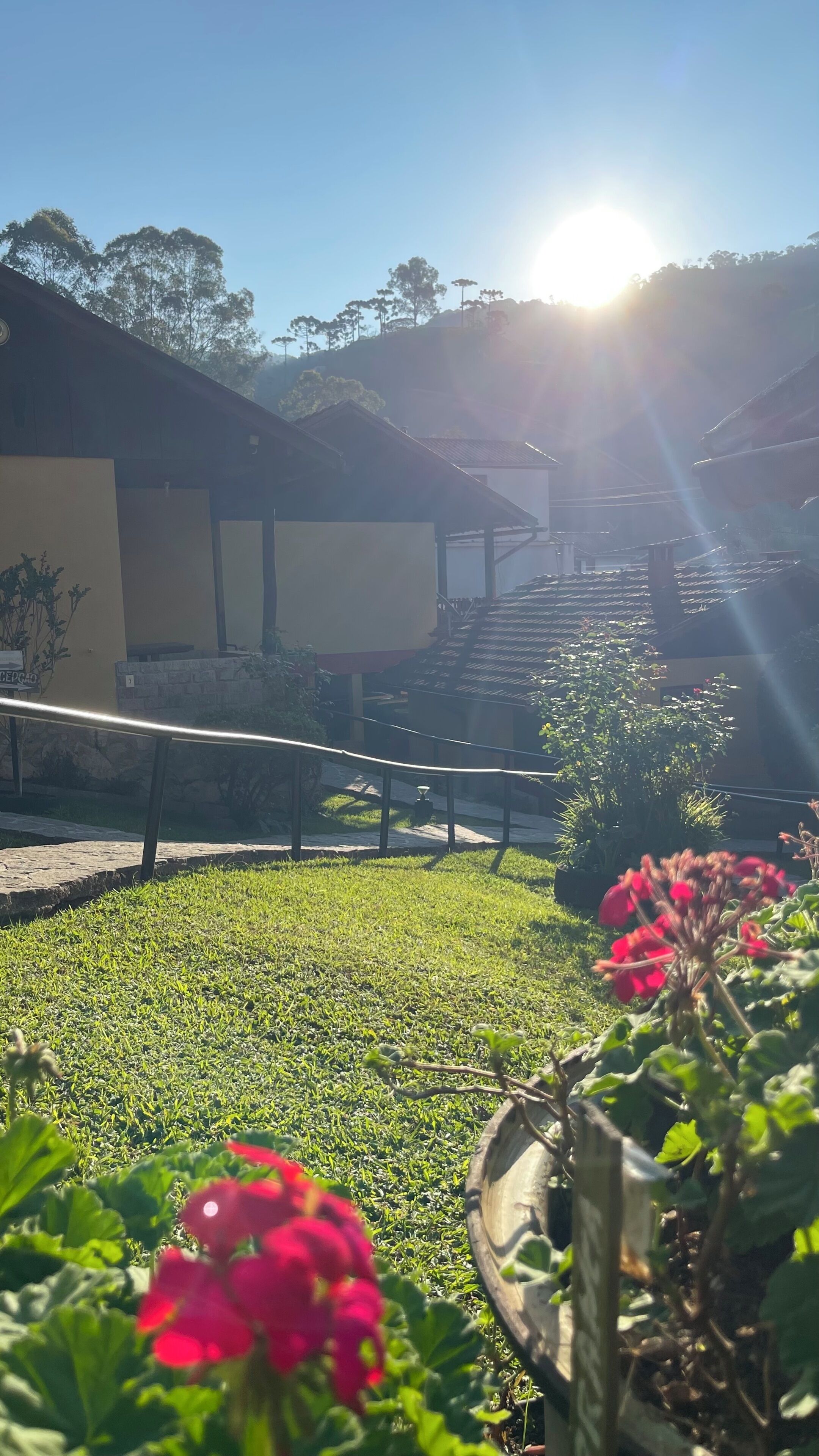 Jardín