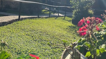 Jardín