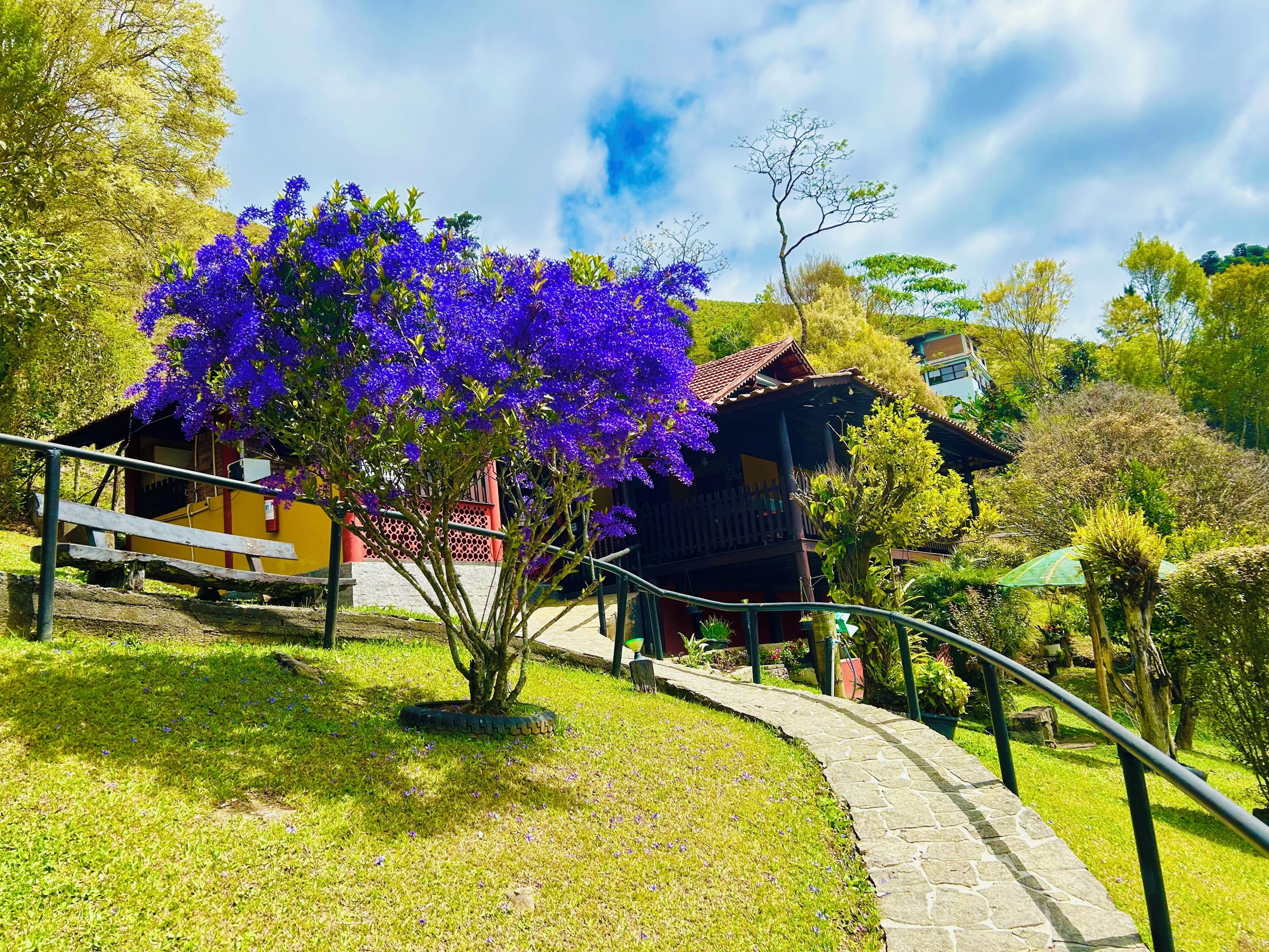 A pathway leading to a building with a red roof, surrounded by lush greenery and a tree with purple flowers.