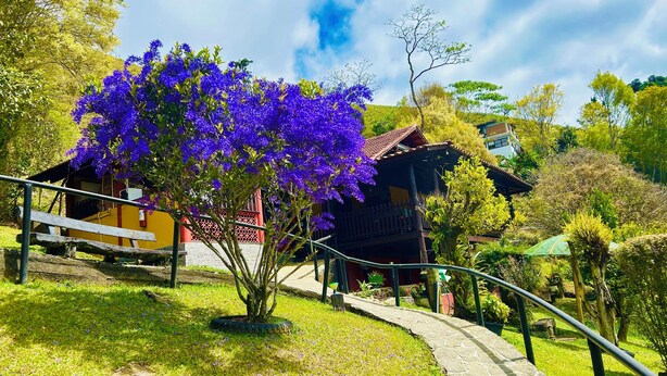 A pathway leading to a building with a red roof, surrounded by lush greenery and a tree with purple flowers. - Pousada Aguas Claras (Itatiaia)