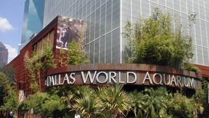 Esterno dell'Acquario Mondiale di Dallas, con una grande facciata in vetro e segnaletica.