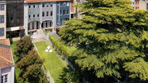 Un quartier résidentiel avec des immeubles à plusieurs étages, un grand arbre et un ciel dégagé.