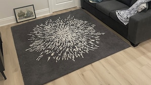 A living room with a large dark rug, a grey sofa, and a white door. - Spacious Basement Apartment in Rouge Hill Near Highway 401 (Toronto)