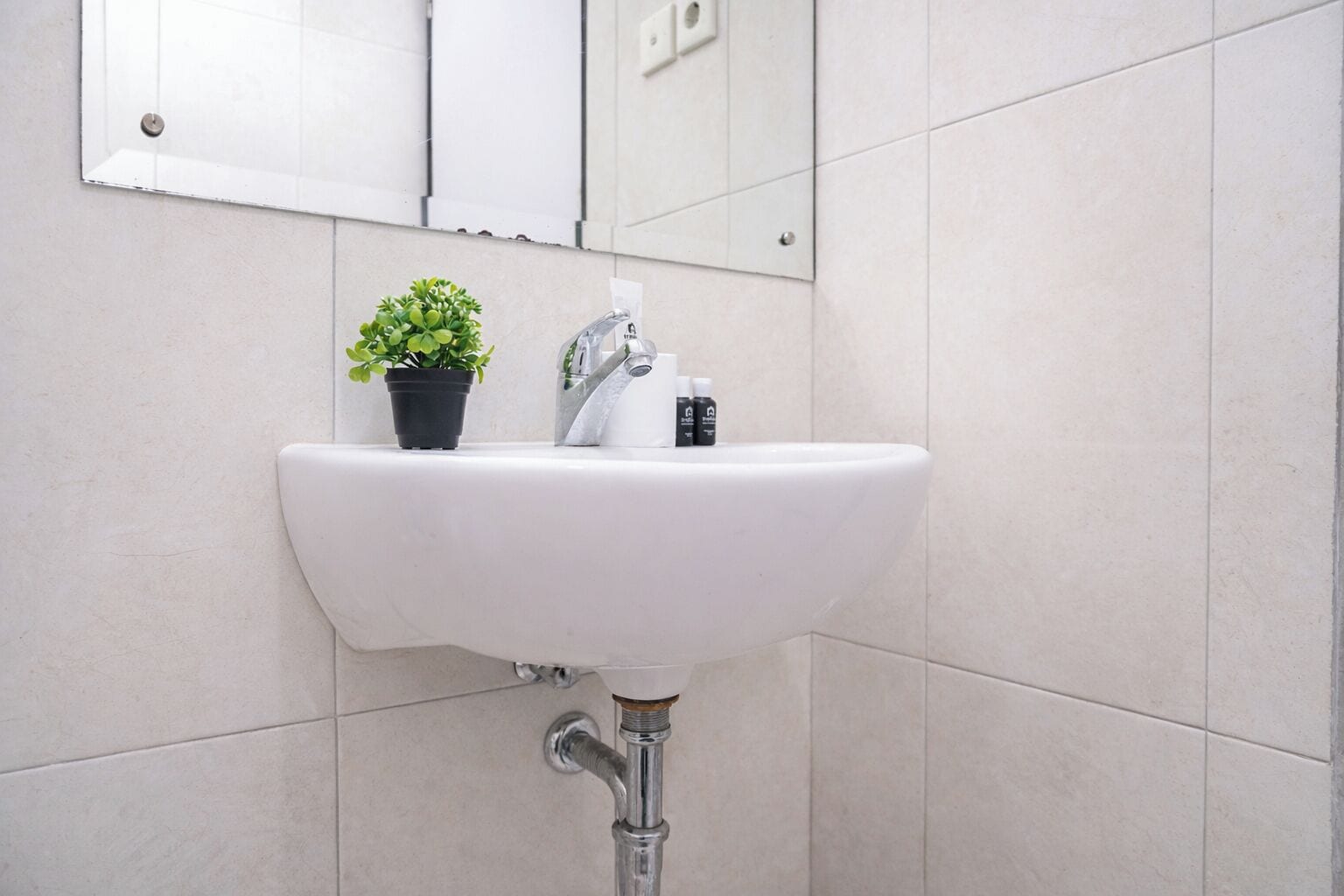 A bathroom with a white sink, a potted plant, and a mirror above it.