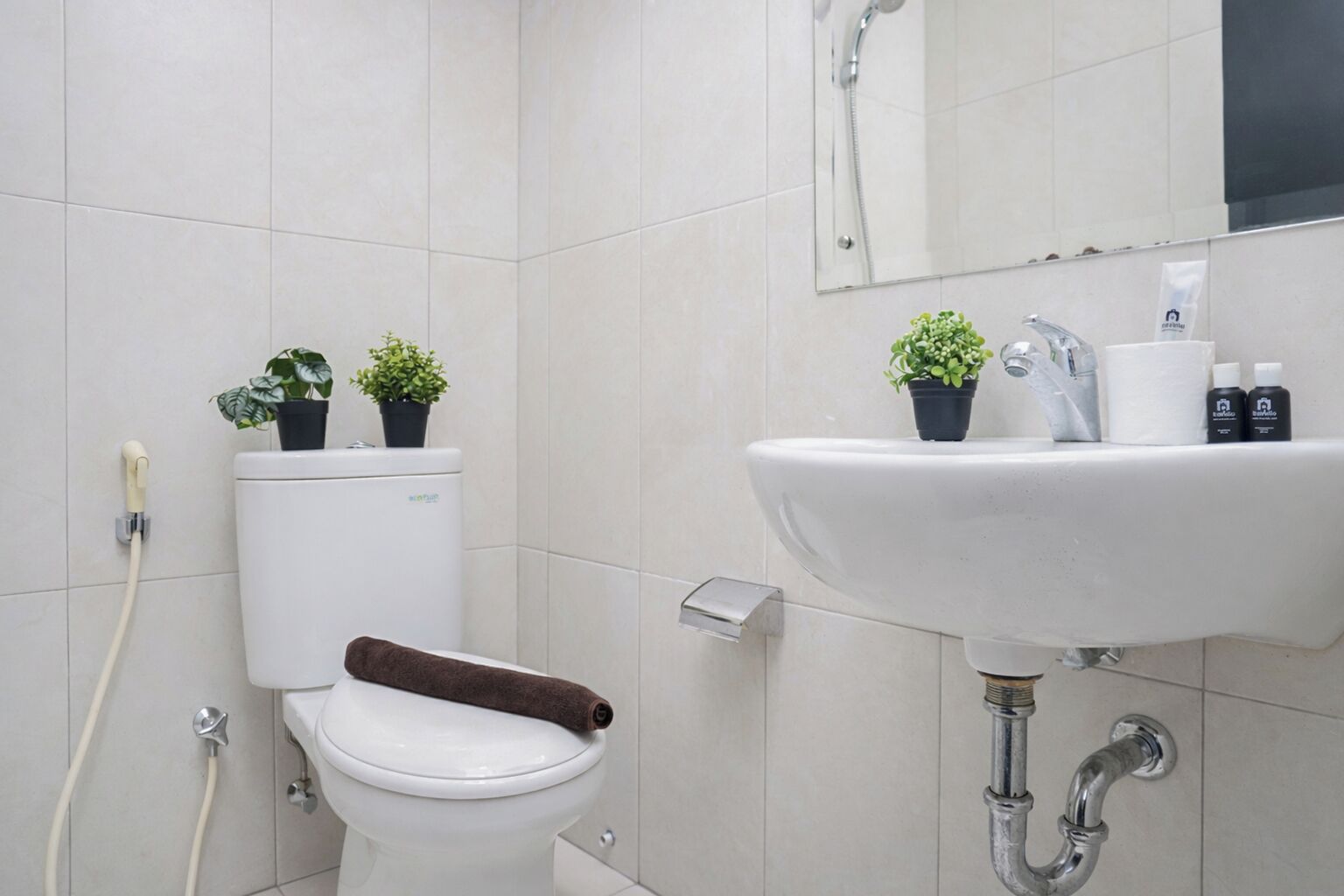 A bathroom with a toilet, sink, and two potted plants.