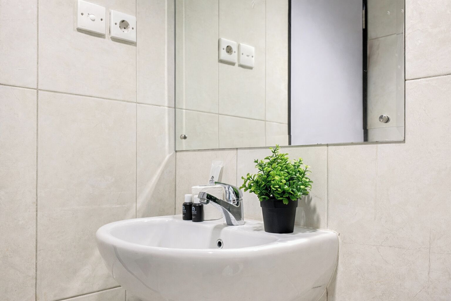 A bathroom with a white sink, a mirror, and a potted plant.