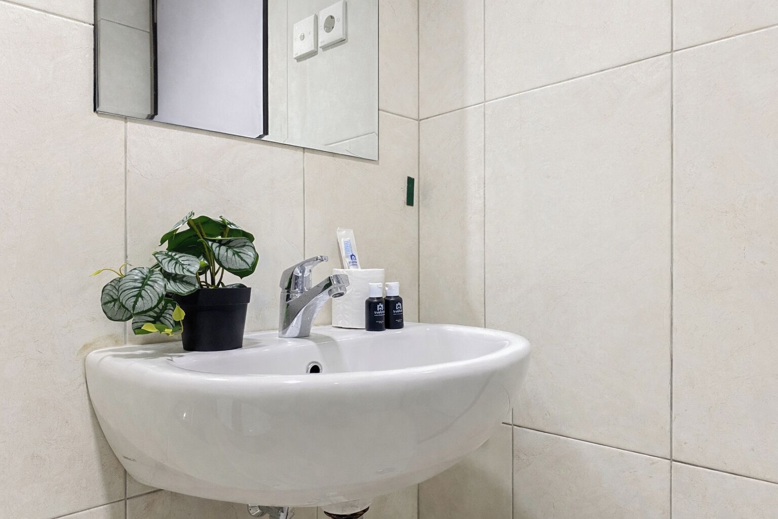 Un baño con lavamanos blanco, una planta en maceta, un espejo y artículos de tocador.