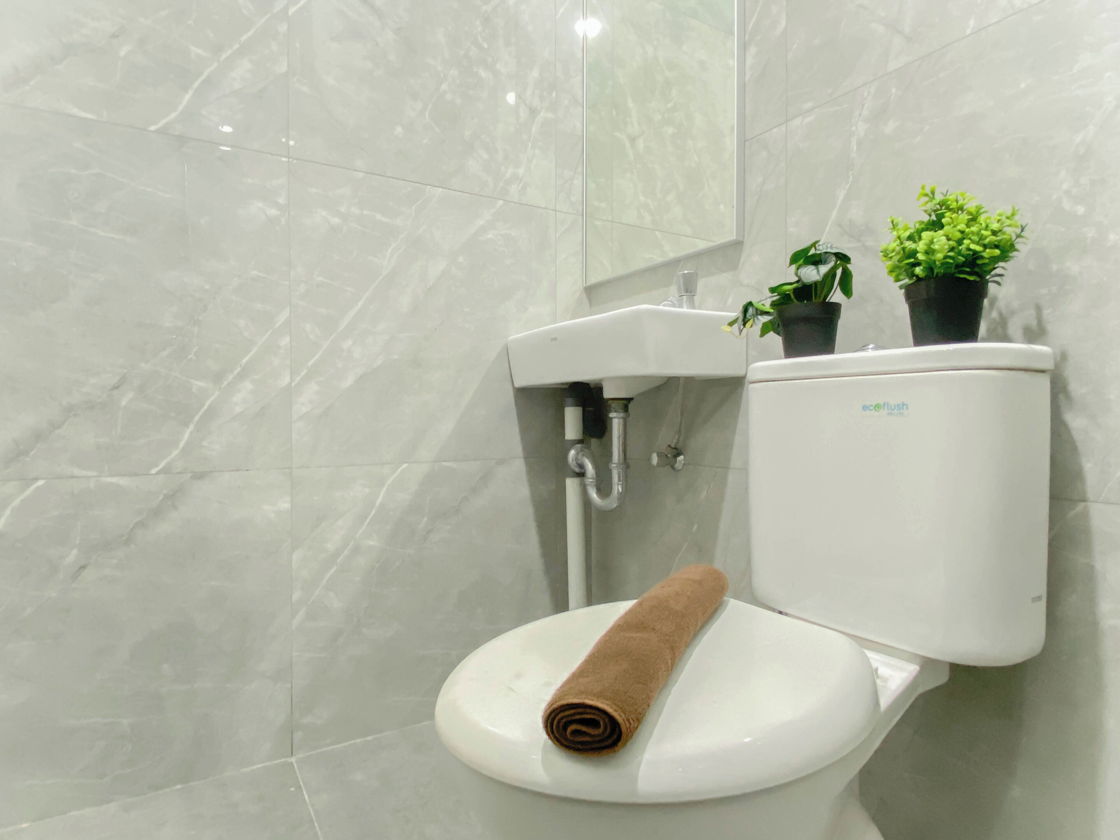 Une salle de bain avec des toilettes, un lavabo et deux plantes en pot.