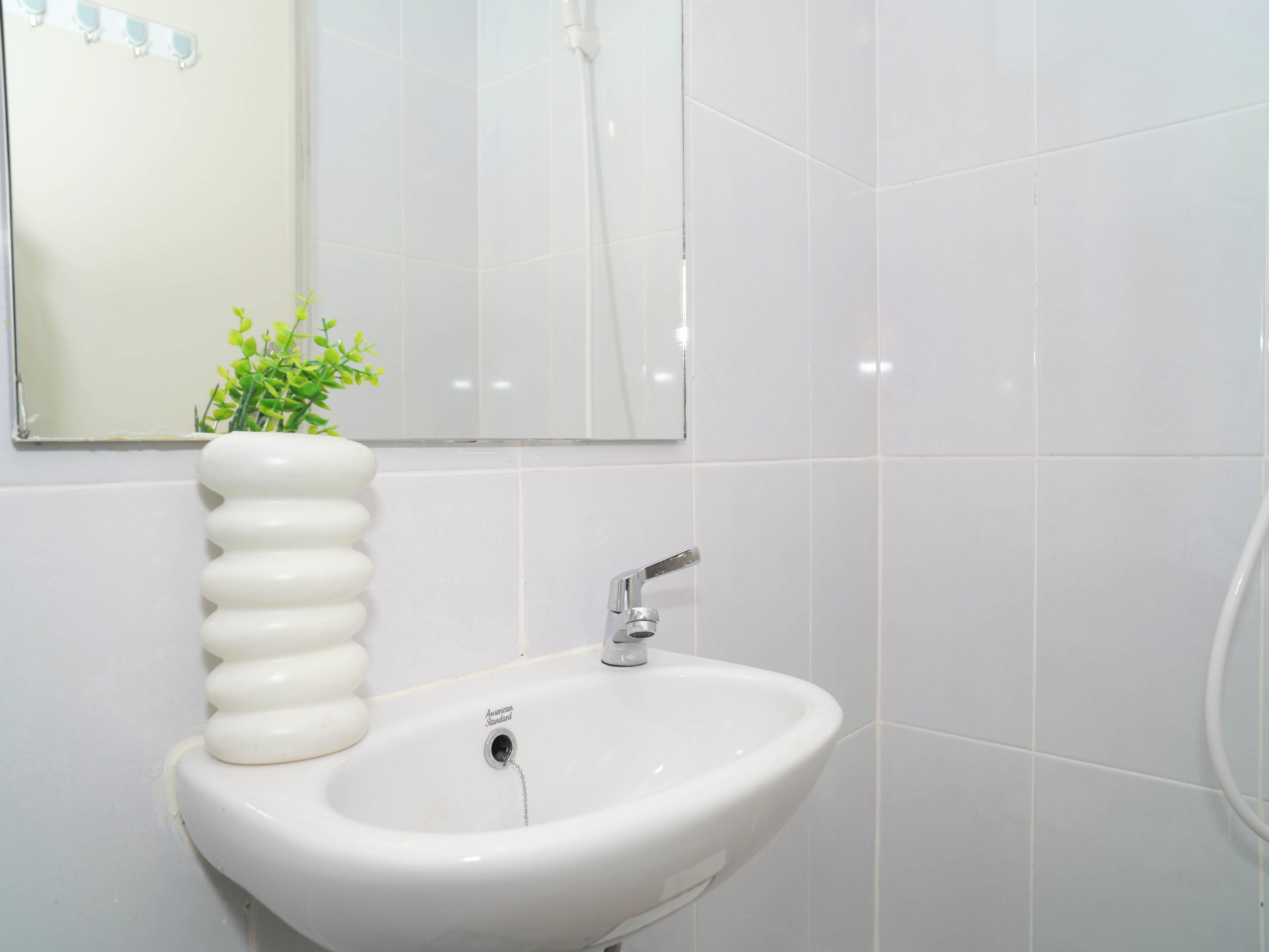 A bathroom with a white sink, a mirror, and a plant.