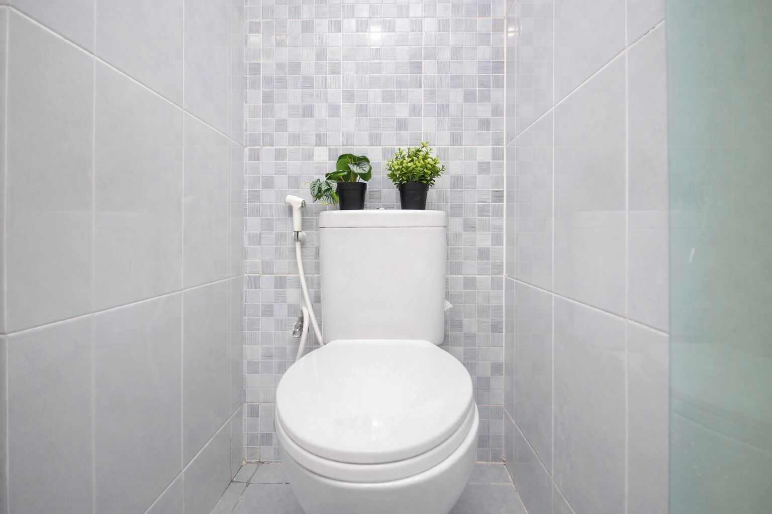 A small, modern bathroom with a toilet, two potted plants, and a tiled wall.