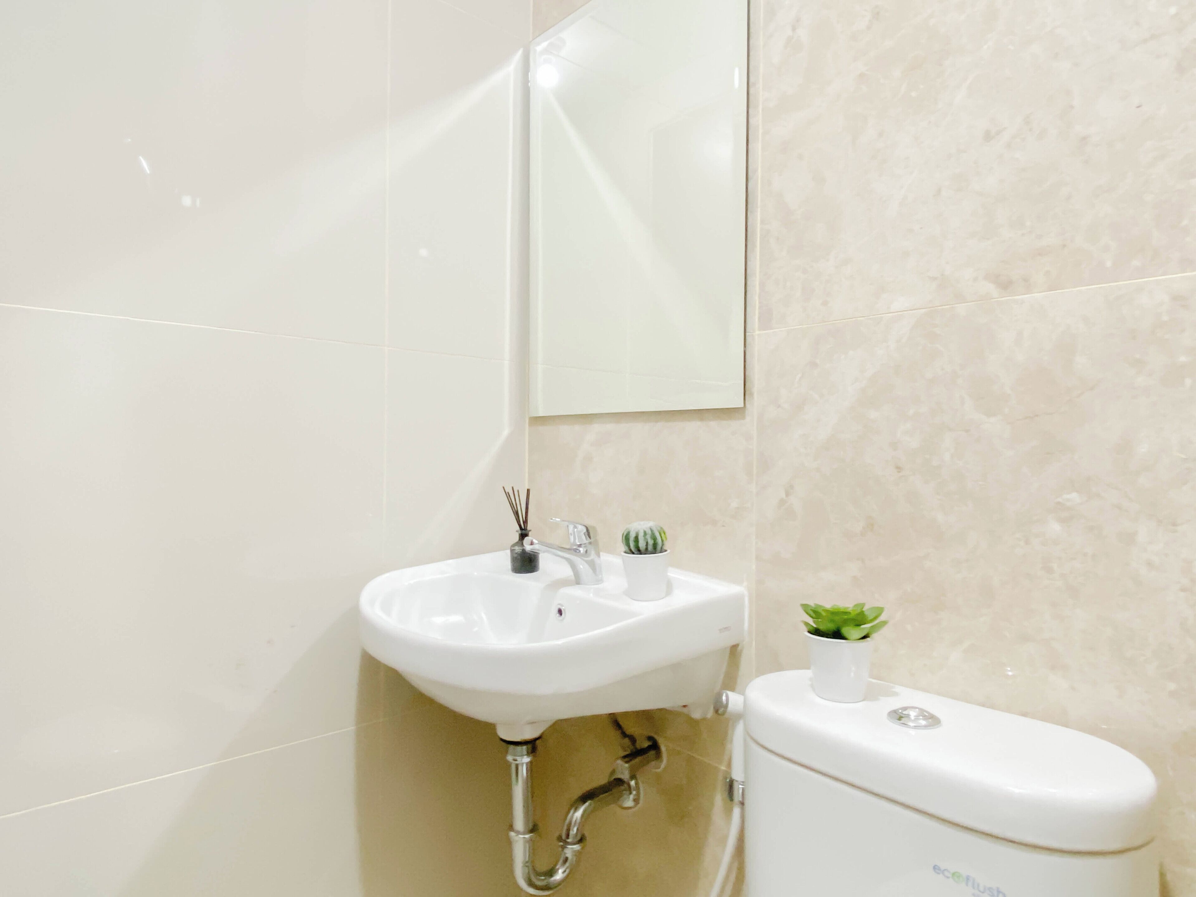 Ein Badezimmer mit einem weißen Waschbecken, einer Toilette und einer kleinen Topfpflanze auf dem Spülkasten.