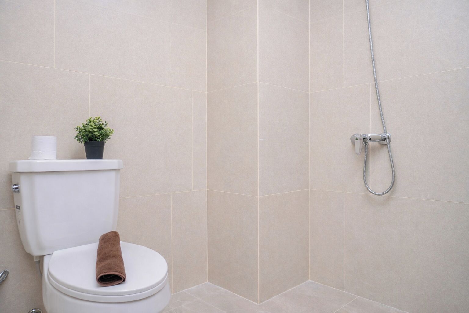 Une salle de bain avec des toilettes, une douche et une plante en pot posée sur le réservoir des toilettes.