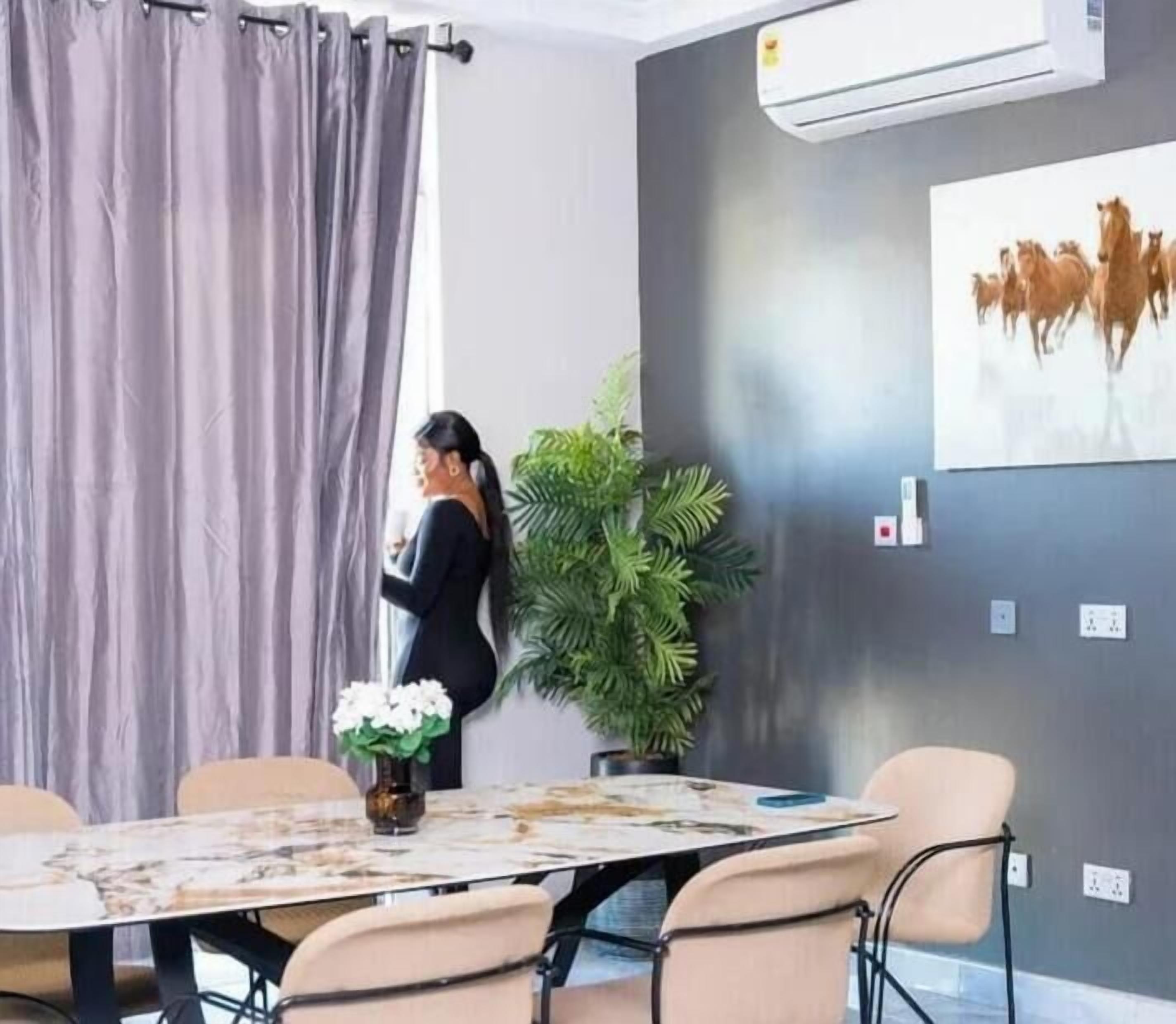 Une pièce comprenant une table à manger, des chaises, une plante en pot et un climatiseur fixé au mur.