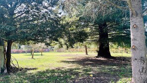 Property grounds - Lovely studio in mas provençal with private parking (Avignon)