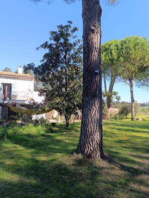 Property grounds - Lovely studio in mas provençal with private parking (Avignon)