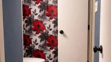 Eco-friendly toiletries, hair dryer, towels, soap