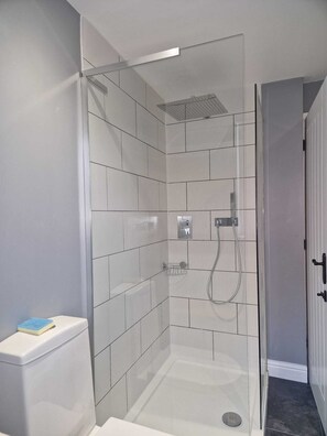 Shower, towels, toilet paper