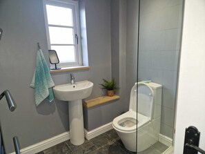 Shower, towels, toilet paper