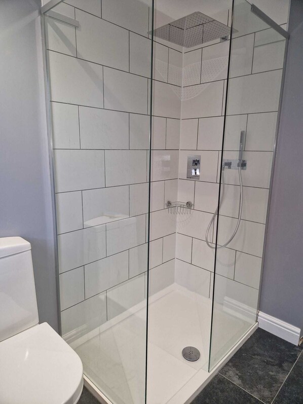 Shower, towels, toilet paper